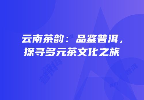 云南茶韵：品鉴普洱，探寻多元茶文化之旅