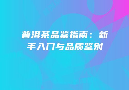 普洱茶品鉴指南：新手入门与品质鉴别
