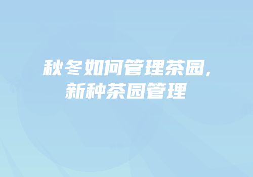 秋冬如何管理茶园,新种茶园管理