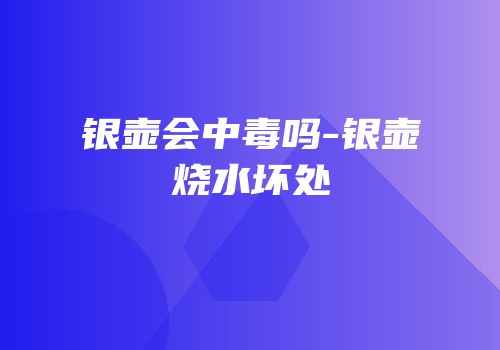 银壶会中毒吗-银壶烧水坏处