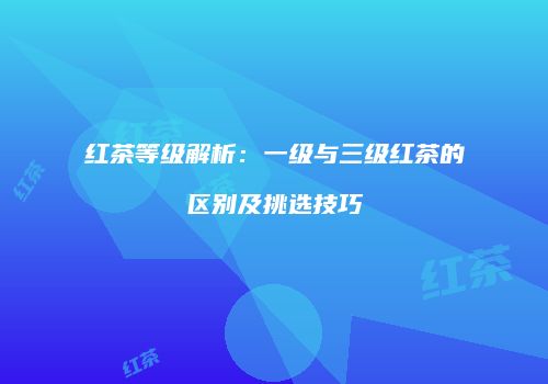 红茶等级解析：一级与三级红茶的区别及挑选技巧
