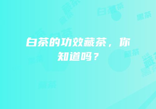 白茶的功效藏茶，你知道吗？