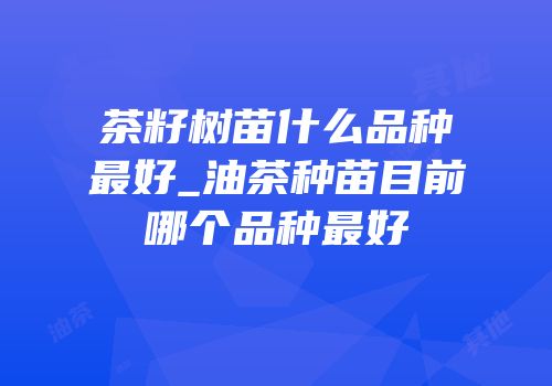 茶籽树苗什么品种最好_油茶种苗目前哪个品种最好