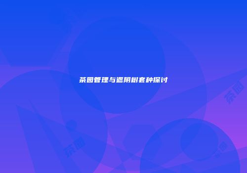 茶园管理与遮阴树套种探讨