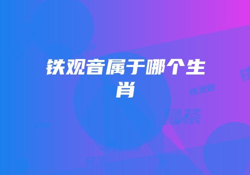 铁观音属于哪个生肖