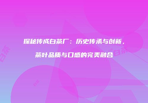 探秘传成白茶厂：历史传承与创新，茶叶品质与口感的完美融合