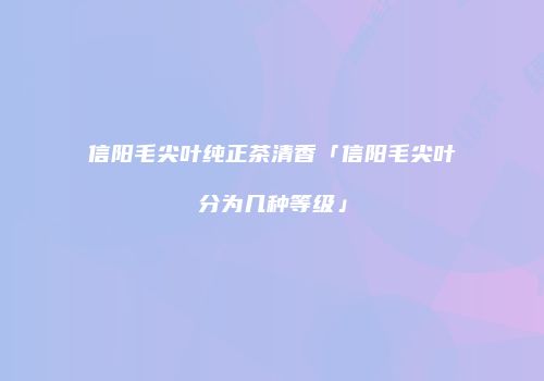 信阳毛尖叶纯正茶清香「信阳毛尖叶分为几种等级」