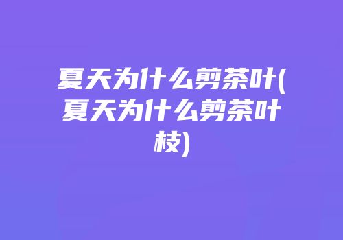 夏天为什么剪茶叶(夏天为什么剪茶叶枝)