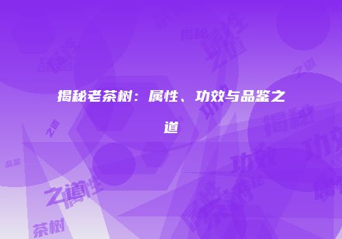 揭秘老茶树：属性、功效与品鉴之道