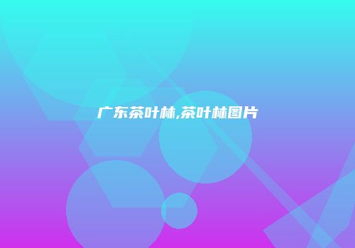 广东茶叶林,茶叶林图片