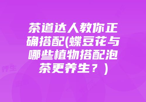 茶道达人教你正确搭配(蝶豆花与哪些植物搭配泡茶更养生？)