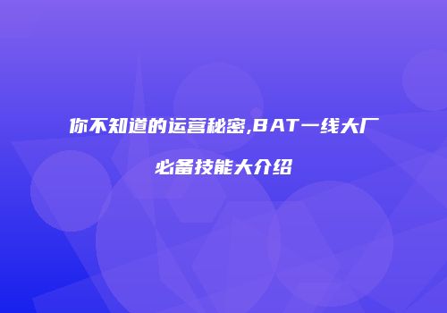 你不知道的运营秘密,BAT一线大厂必备技能大介绍