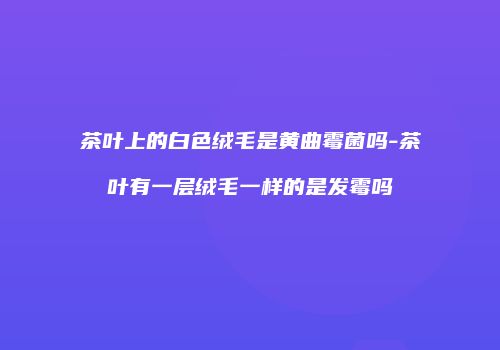 茶叶上的白色绒毛是黄曲霉菌吗-茶叶有一层绒毛一样的是发霉吗