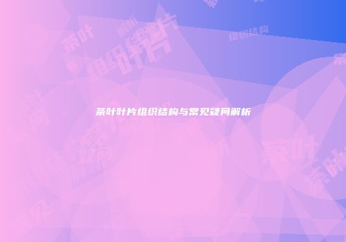 茶叶叶片组织结构与常见疑问解析