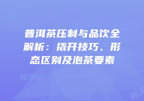 普洱茶压制与品饮全解析：撬开技巧、形态区别及泡茶要素