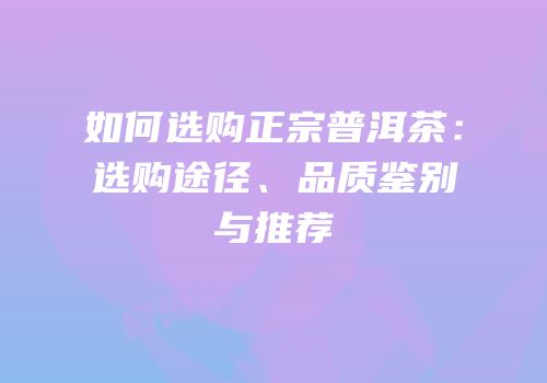 如何选购正宗普洱茶：选购途径、品质鉴别与推荐