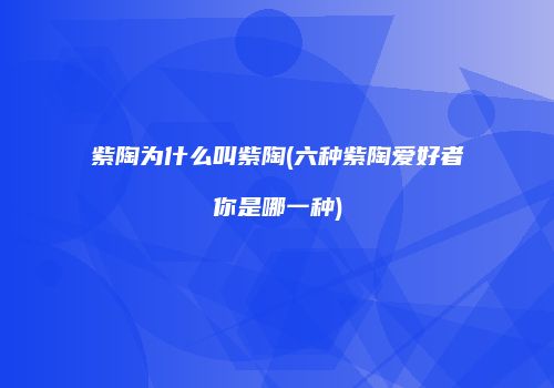 紫陶为什么叫紫陶(六种紫陶爱好者你是哪一种)