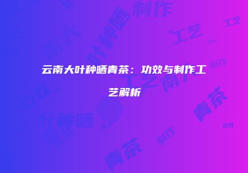 云南大叶种晒青茶：功效与制作工艺解析