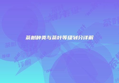 茶树种类与茶叶等级划分详解