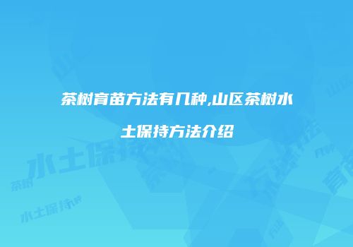 茶树育苗方法有几种,山区茶树水土保持方法介绍