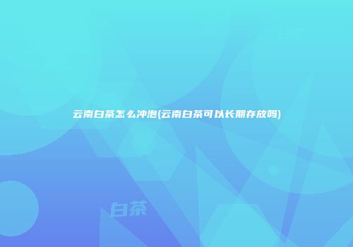 云南白茶怎么冲泡(云南白茶可以长期存放吗)