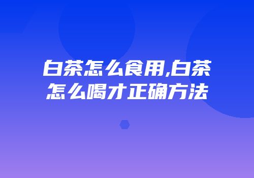白茶怎么食用,白茶怎么喝才正确方法