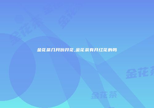 金花茶几月份开花,金花茶有开红花的吗