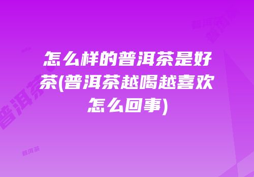 怎么样的普洱茶是好茶(普洱茶越喝越喜欢怎么回事)