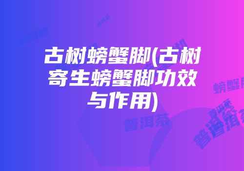 古树螃蟹脚(古树寄生螃蟹脚功效与作用)