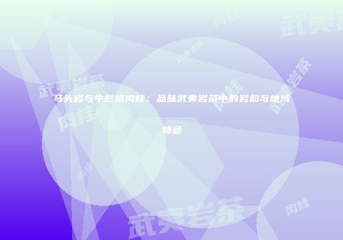 马头岩与牛栏坑肉桂：品味武夷岩茶中的岩韵与地域特色