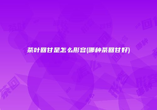 茶叶回甘是怎么形容(哪种茶回甘好)