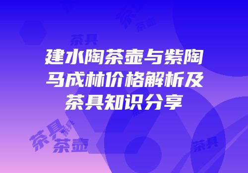 建水陶茶壶与紫陶马成林价格解析及茶具知识分享