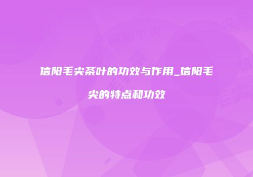 信阳毛尖茶叶的功效与作用_信阳毛尖的特点和功效