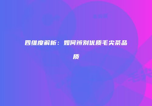 四维度解析：如何辨别优质毛尖茶品质