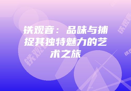 铁观音：品味与捕捉其独特魅力的艺术之旅