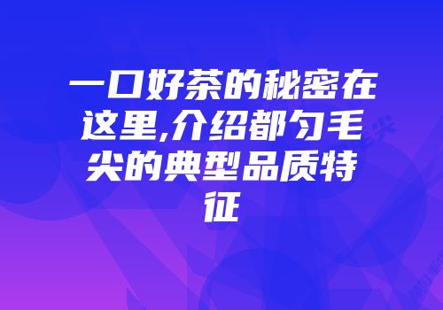 一口好茶的秘密在这里,介绍都匀毛尖的典型品质特征