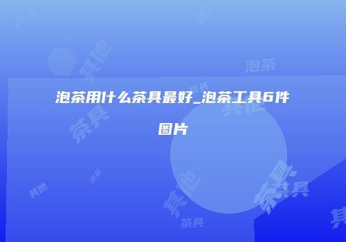 泡茶用什么茶具最好_泡茶工具6件图片