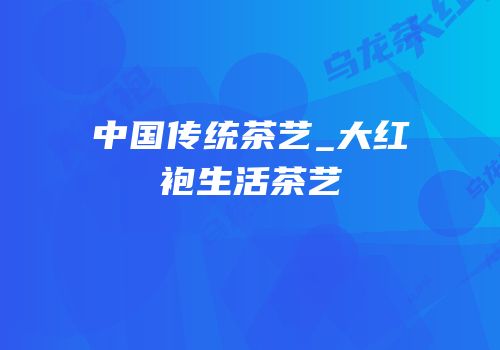中国传统茶艺_大红袍生活茶艺