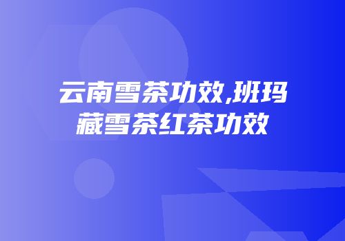 云南雪茶功效,班玛藏雪茶红茶功效