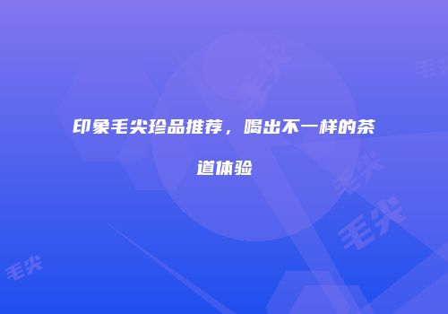 印象毛尖珍品推荐，喝出不一样的茶道体验