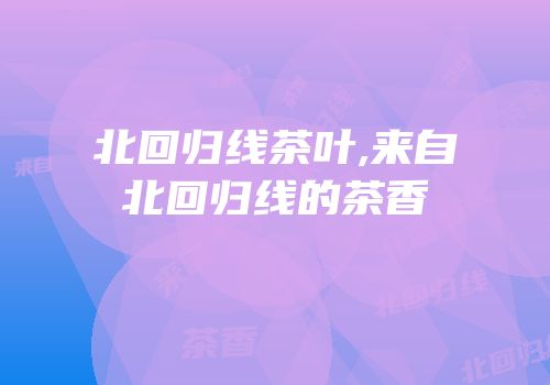北回归线茶叶,来自北回归线的茶香