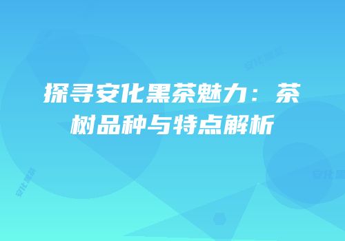 探寻安化黑茶魅力：茶树品种与特点解析