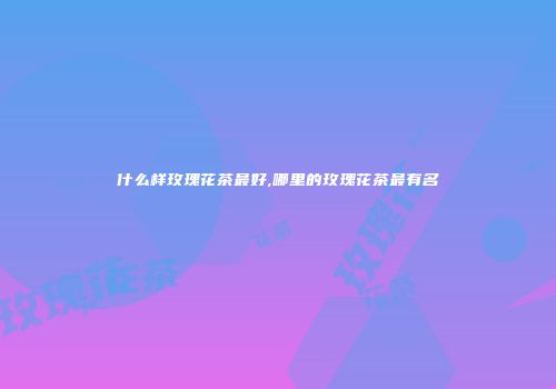 什么样玫瑰花茶最好,哪里的玫瑰花茶最有名