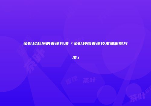 茶叶移栽后的管理方法「茶叶种植管理技术和施肥方法」