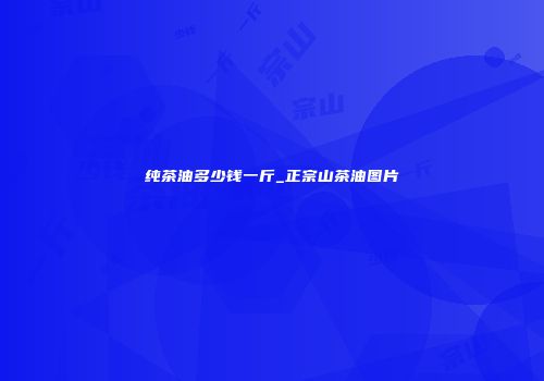 纯茶油多少钱一斤_正宗山茶油图片