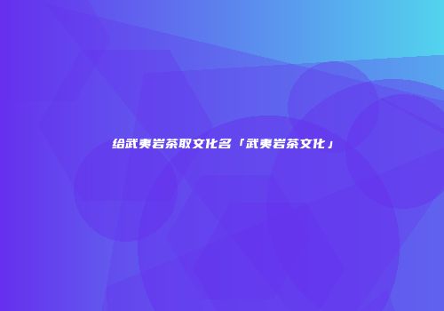 给武夷岩茶取文化名「武夷岩茶文化」