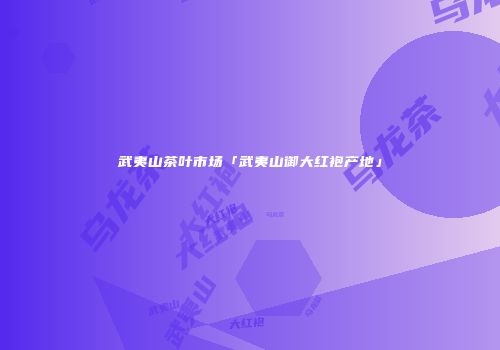 武夷山茶叶市场「武夷山御大红袍产地」