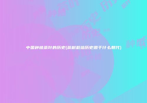 中国种植茶叶的历史(茶树栽培历史源于什么朝代)