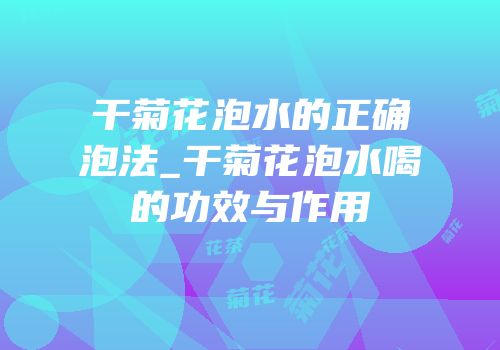 干菊花泡水的正确泡法_干菊花泡水喝的功效与作用