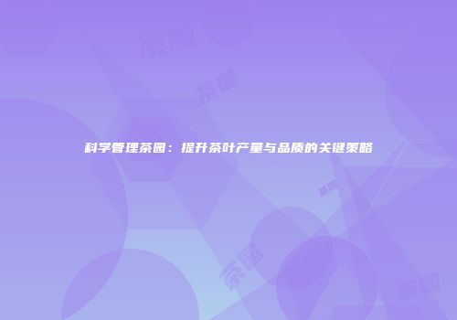 科学管理茶园：提升茶叶产量与品质的关键策略